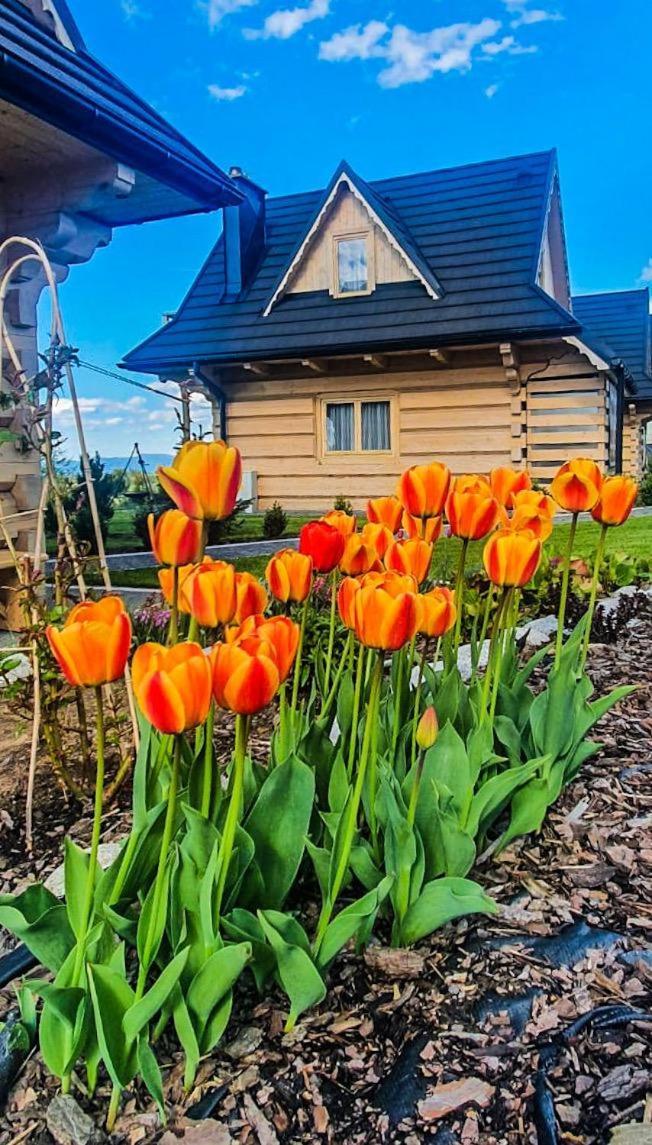 Domki Gorskie Janosik, Kwicol I Pyzdra Глічарув Екстер'єр фото